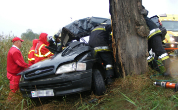 Fának ütközött és meghalt