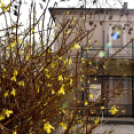 Rendhagyó március 15. képekben