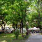 Richter egészségváros - Cegléd