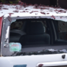 Viharkárok a Ceglédi térségben 