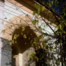 Halló Cegléd! - itt-ott