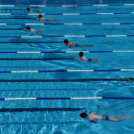 Városi úszóverseny