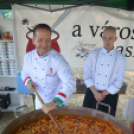 Bor és laskafesztivál - I