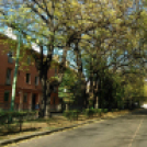 Halló Cegléd - Rákóczi út