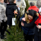 Karácsonyfa díszítő verseny