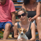 Bor és laskafesztivál - II