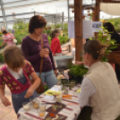 Rózsák Hétvégéje - Oázis Kertészeti Áruház