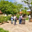 Nyitott Pince Napok - Kökény és Fia Családi Borászat