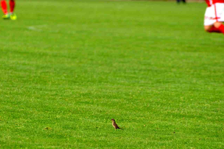 Újra lesz kispályás foci Cegléden