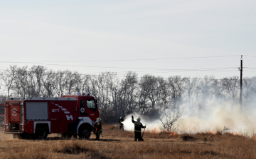 Száraz növényzet égett