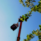 Rejtek a ceglédi kórházban