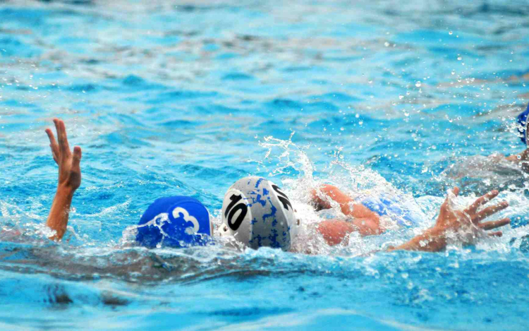 Esélyt sem adtunk a Csirkefogóknak