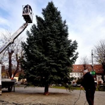 Megérkezett a város karácsonyfája