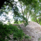 Városi Strandfürdő - Ledarálták az 50-est