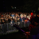 Utcazene fesztivál és koncertek