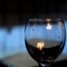 Vadászok Bora választás 2020