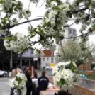 Katasztrófavédelmi ifjúsági verseny