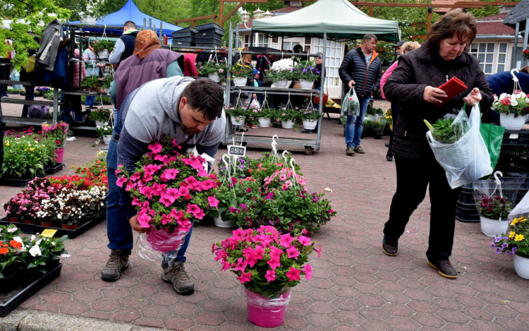 XXI. DÉL-PEST MEGYEI ANYÁK NAPI VIRÁGVÁSÁR ÉS ANYÁM TYÚKJA FŐZŐFESZTIVÁL CSEMŐBEN