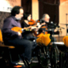 Magyar Kultúra Napja Cegléden