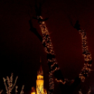 Aranyvasárnap Cegléden