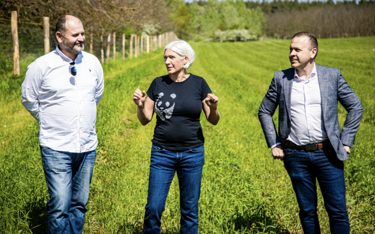 Amikor a mesterséges intelligencia segít a klímavédelemben Kate segítségével visszatér az élet a cecei erdőbe