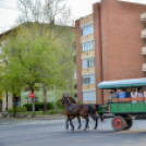 Szerenádoztak a gimisek