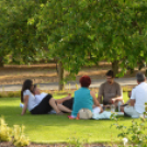 Nyitott Pince Napok - Kökény és Fia Családi Borászat