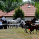 Laska fesztivál - szombat délelőtt