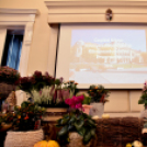 Legszebb rajzok - legszebb kertek