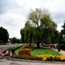 Kovács Zoltánra emlékeztek Csemőben