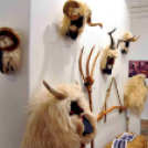 Mohácsi hagyomány Cegléden