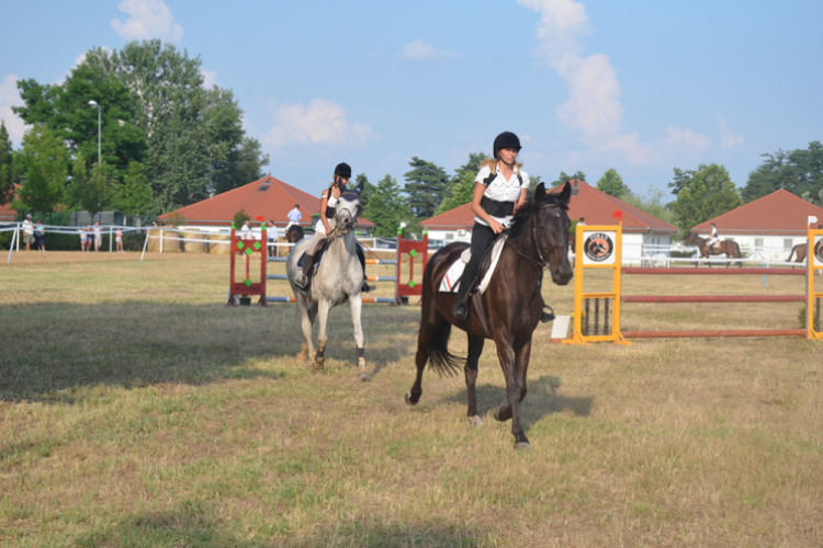 Bor és laskafesztivál - II