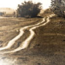 Baán Katalin - fotókiállítás 