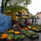 Régi idők piacztere - fotó: Kisfaludi István