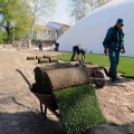 Füvesítik a strandot