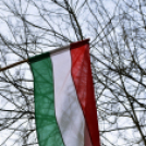 Rendhagyó március 15. képekben