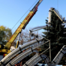 A város karácsonyfája