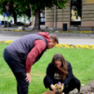 Ments meg egy árvácskát!