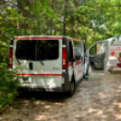 Infineon Gyermek- és Sportnap