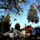 A város karácsonyfája