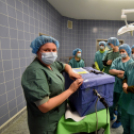 Nyílt nap a Toldy Ferenc Kórházban 