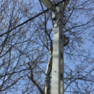 Lovas verseny a Füle Tanyán