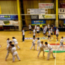 Jótékonysági gála