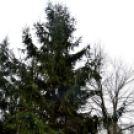 Vadak karácsonya Nyársapáton