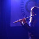 Utcazene fesztivál és koncertek