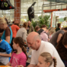 Családi tökfaragás - Oázis Kertészeti Áruház