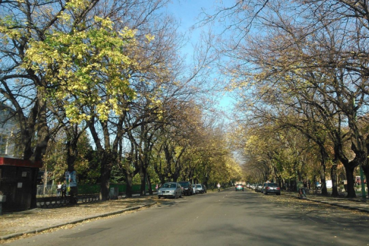 Halló Cegléd - Rákóczi út