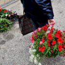 Anyák napi virágvásár és Anyám tyúkja főzőverseny