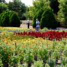 Kováts Zoltán Emlékülés Csemőben