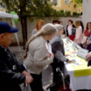 Egészségfejlesztési irodát avattak